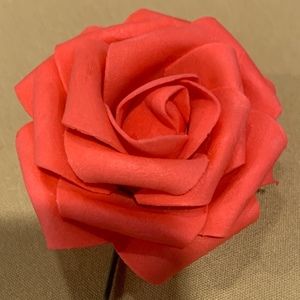 Meet your Posher, Alisha